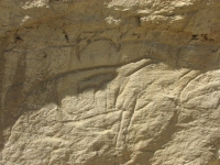 Pregnant animal petroglyph